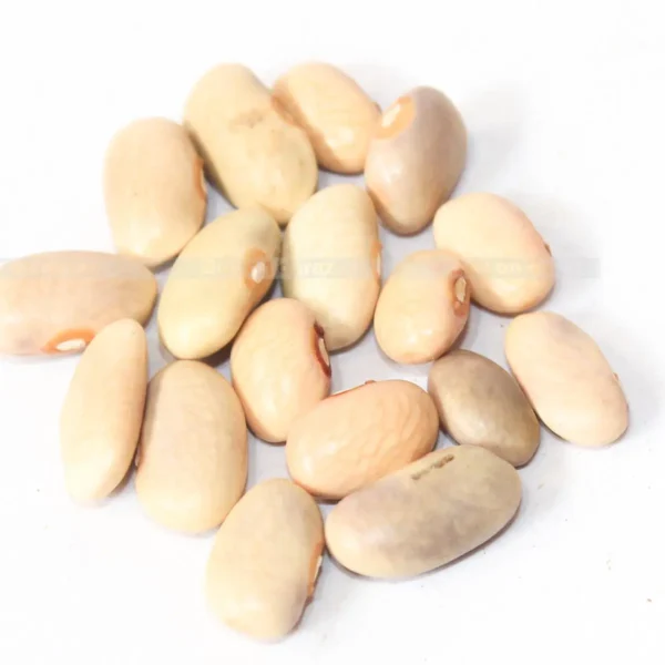 Himalayan Organic White Simi