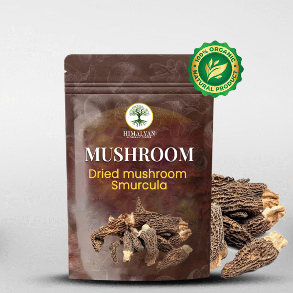 Dried Mushroom