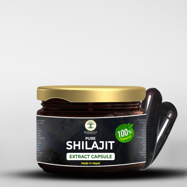 Shilajit Extract Capsules