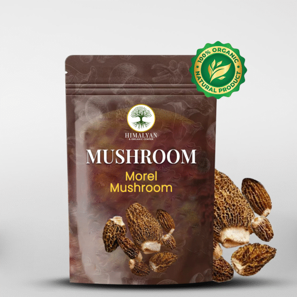 Morel Mushroom