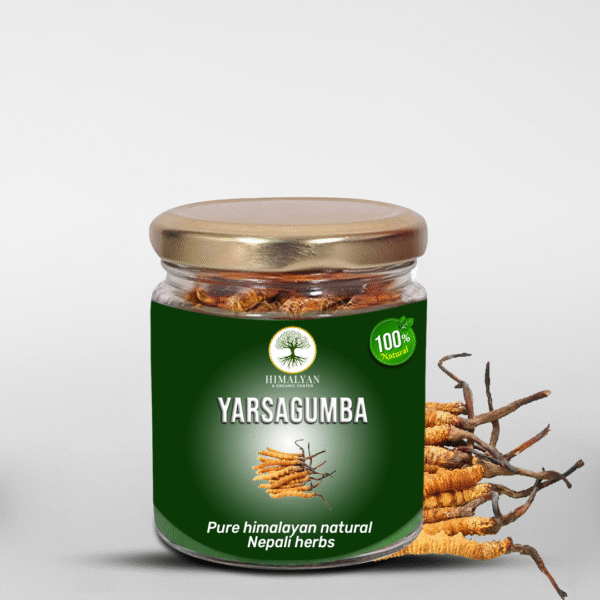 Yarsagumba