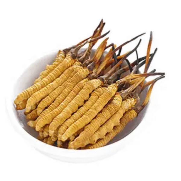 Yarsagumba ( cordyceps sinasis ) 5pic