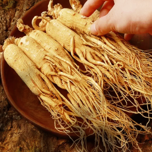 Ginsing root 100gm